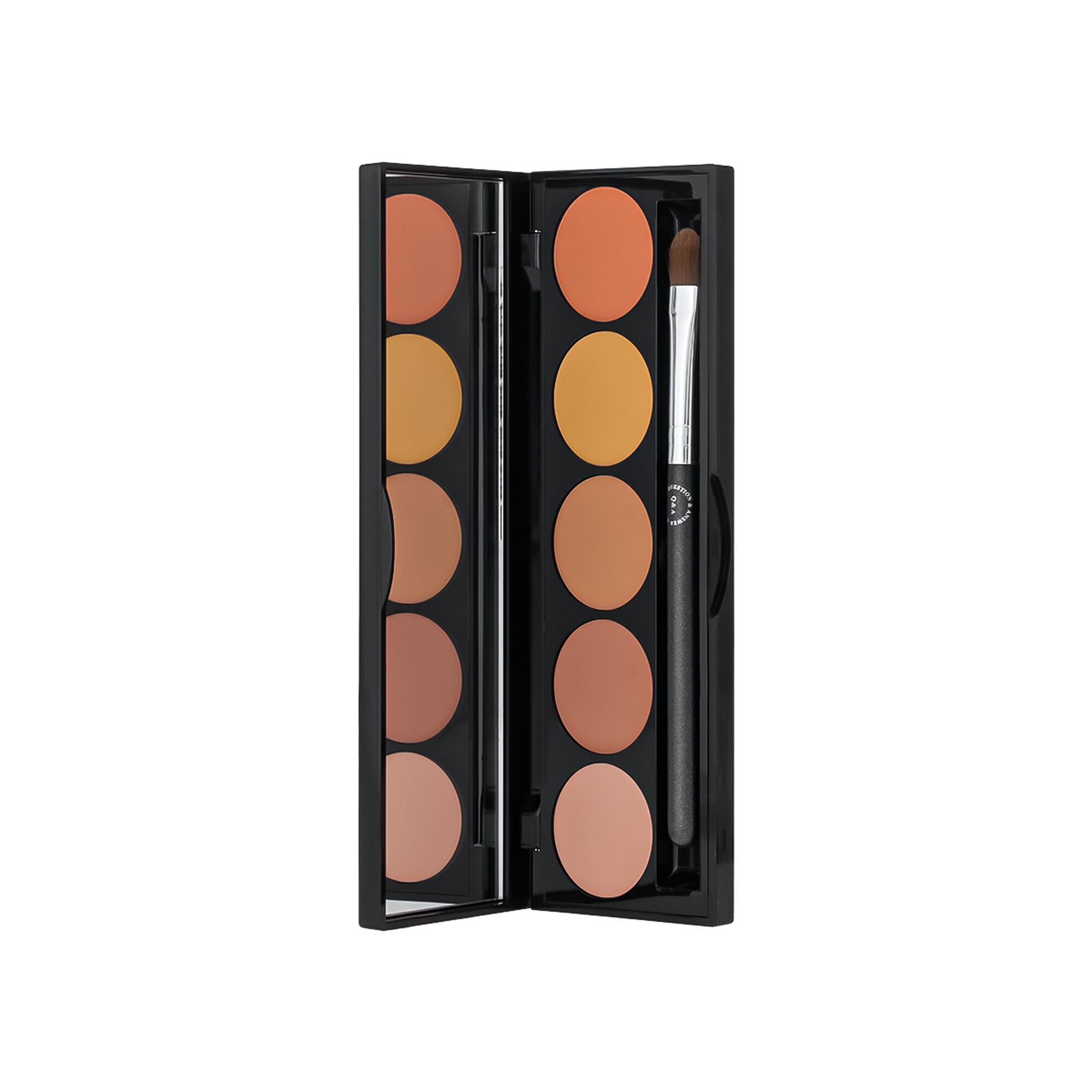 مخفي عيوب باليت Q and A PRO