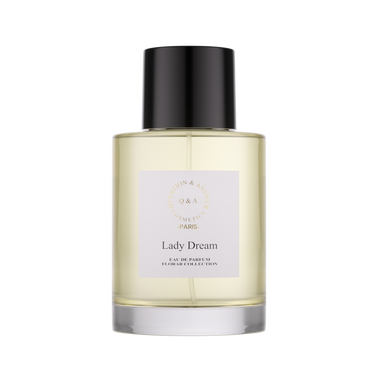 ليدي دريم - كيو اند ايه